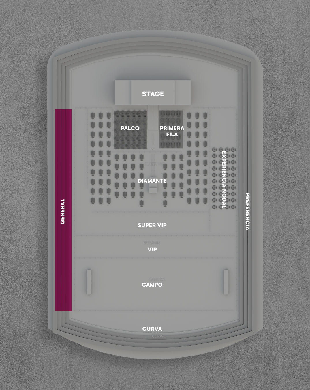 PREVENTA: Sector GENERAL - Entrada para Christian Nodal