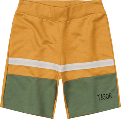 Conjunto Tigor T. Tigre